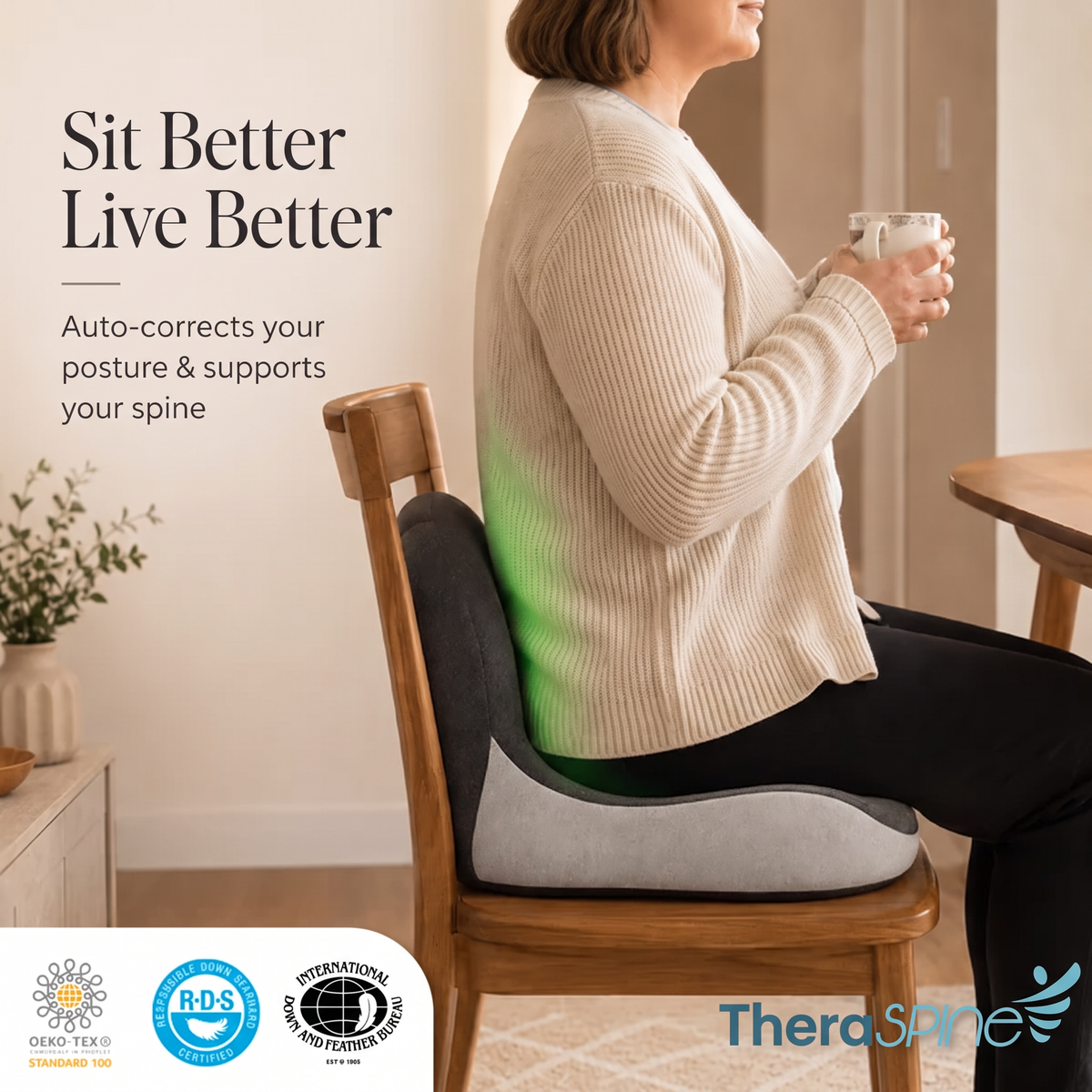 TheraSpine™ | Orthopedic Cushion